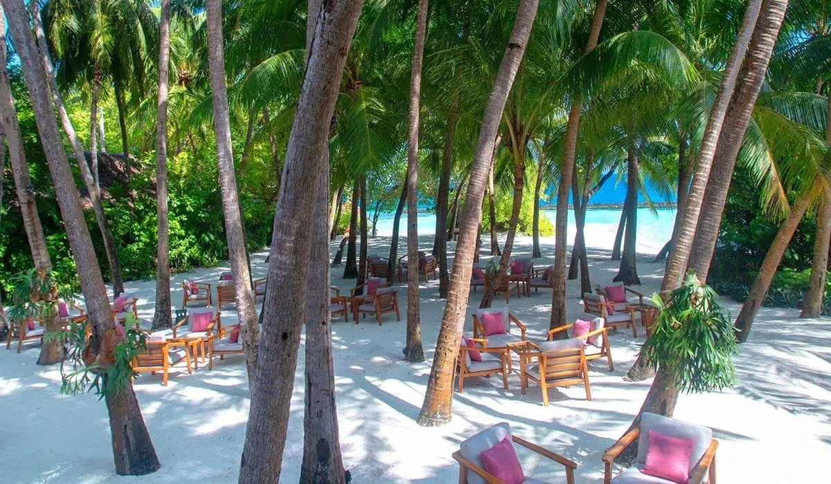 Beach restaurant tables and pink chairs under palm trees on white sand