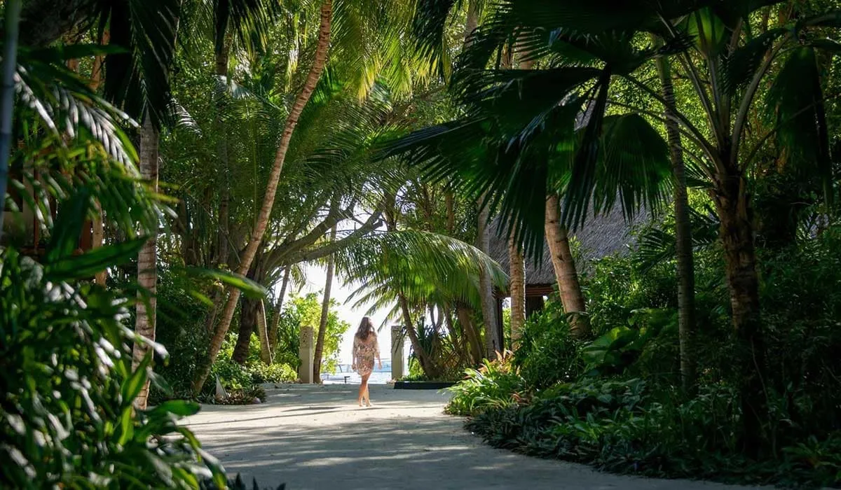 Woman walking along a sandy path through lush tropical gardens