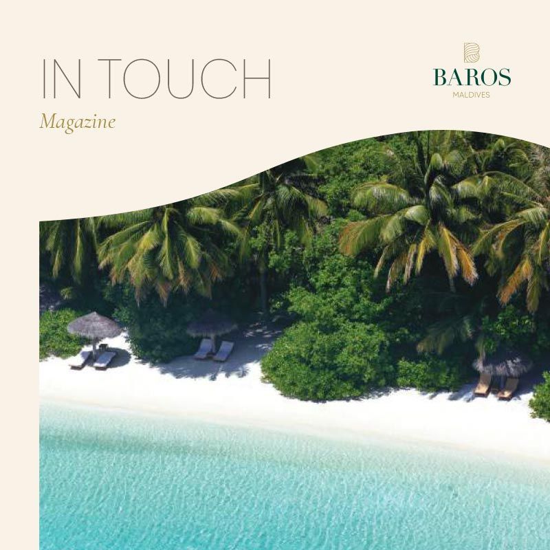 In Touch Q4 2019: cover