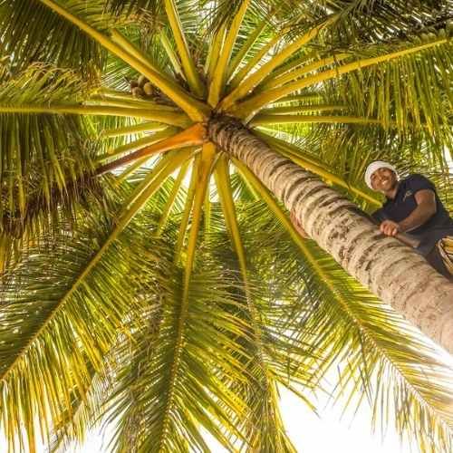 Reconnect with matters the most at Baros Maldives