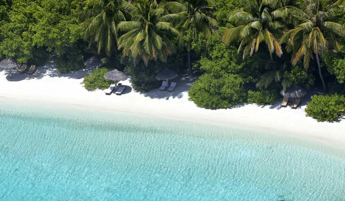 Aerial view of a white sand beach fringed with palms and turquoise water