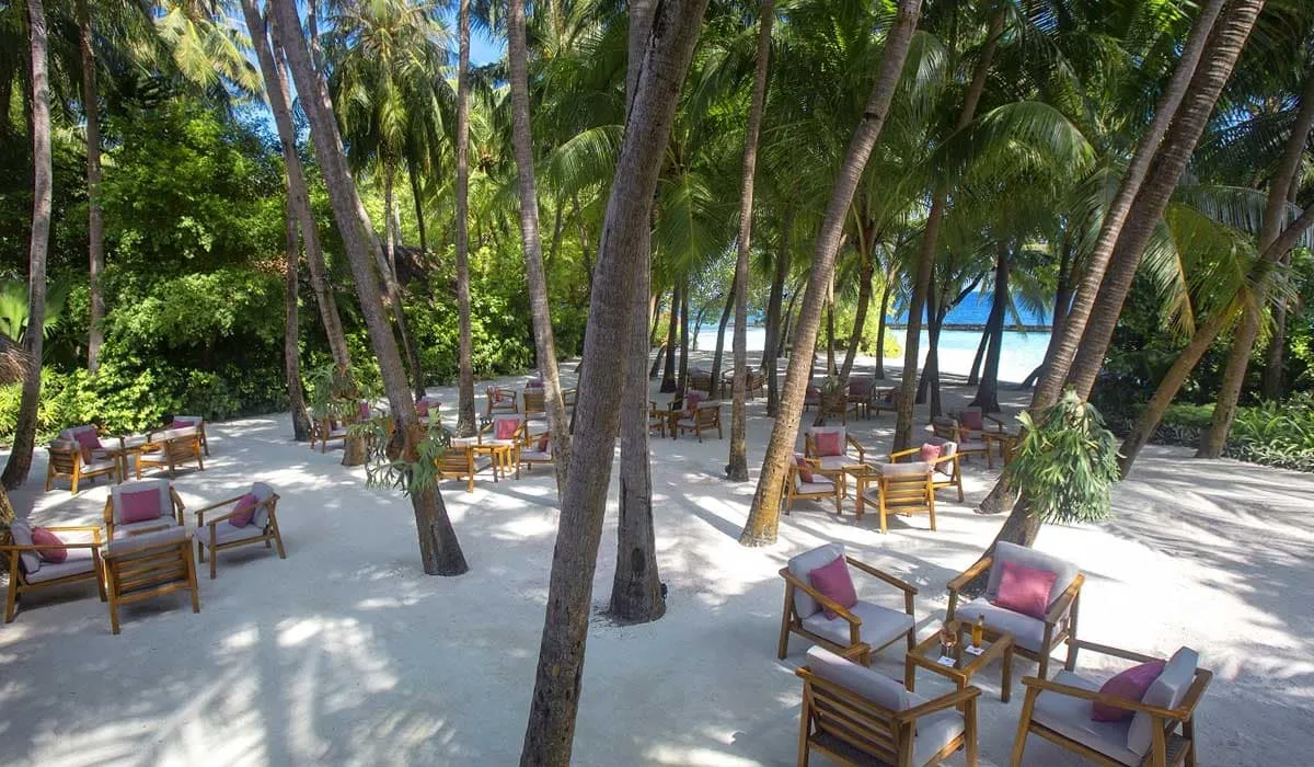 Beach restaurant seating under palm trees on white sand