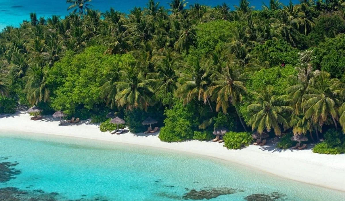 Aerial view of a palm-covered island and white beach beside turquoise water