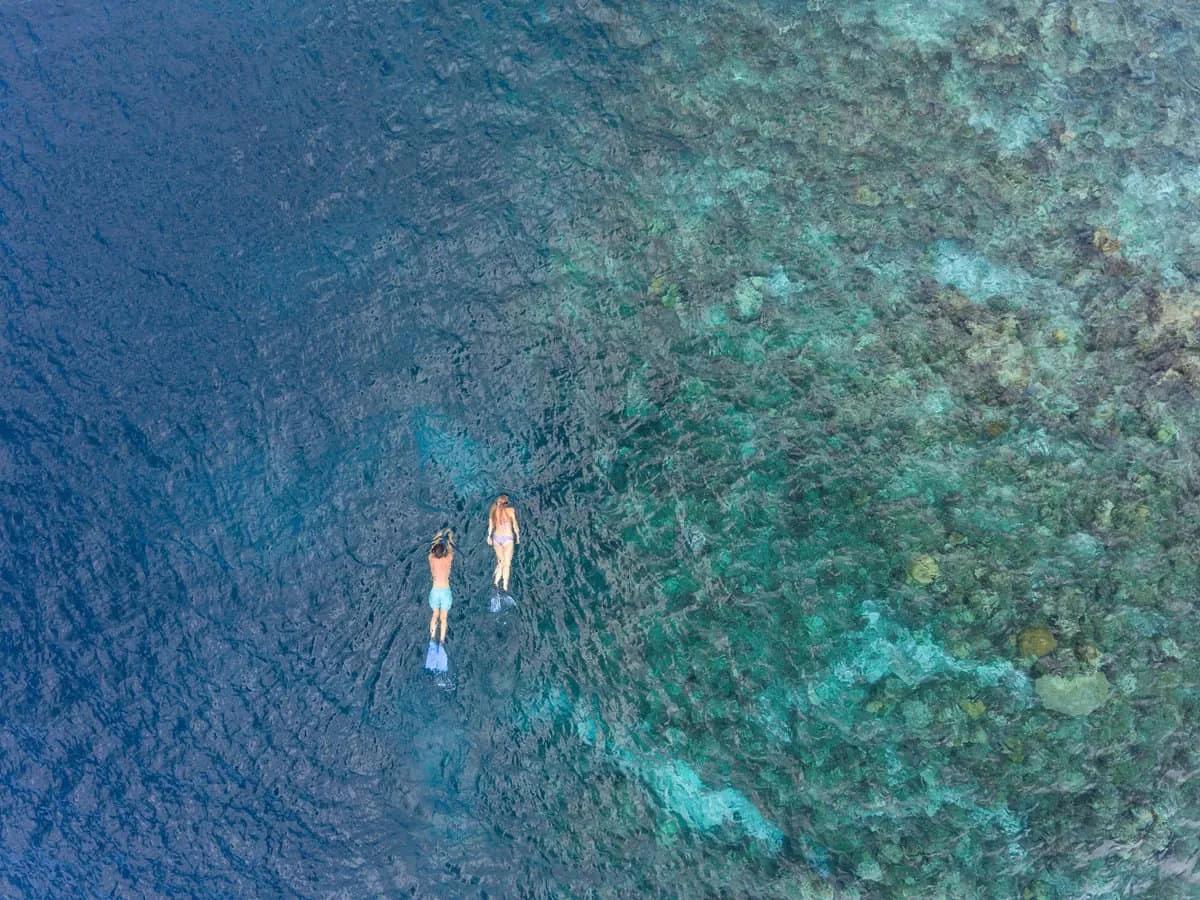 Two snorkellers swimming over a reef in clear blue water, seen from above