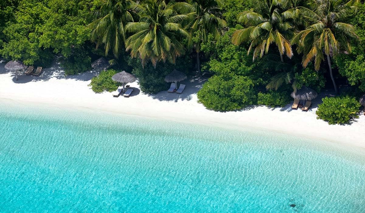 Aerial view of a palm-fringed white beach with loungers and turquoise water