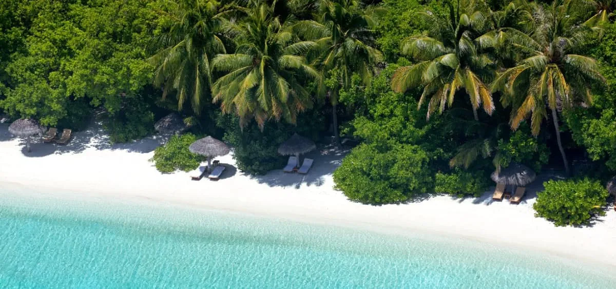 Resort beach with thatched parasols and loungers under palms, seen from above