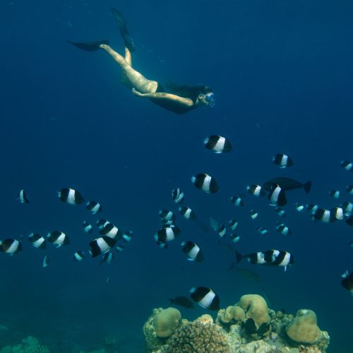 GUEST EXPERIENCES THAT MAKE A DIFFERENCE AT BAROS MALDIVES