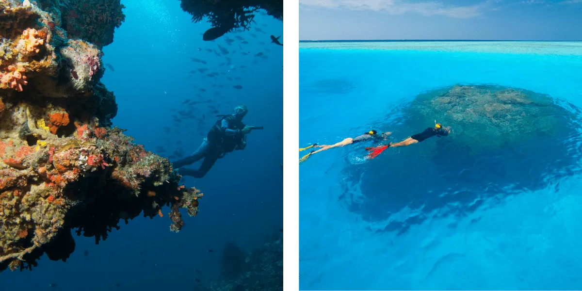 Diver beside a coral-covered reef wall, and snorkellers above a coral outcrop