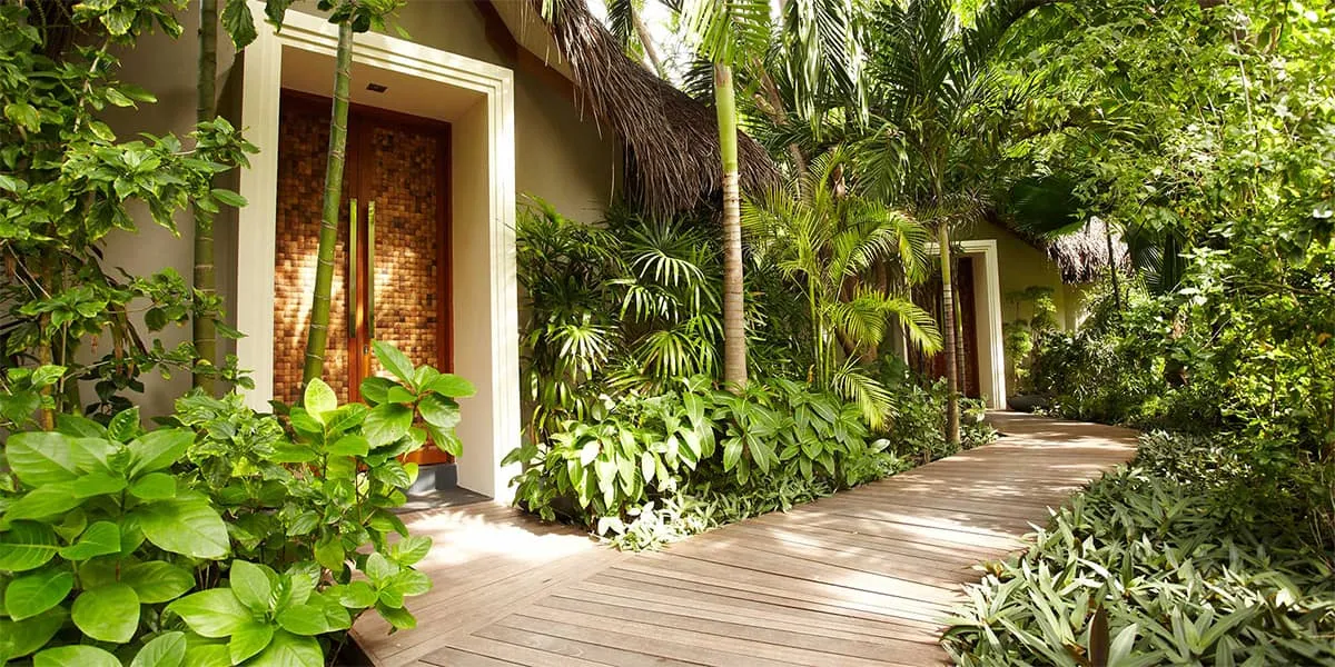 Wooden walkway through tropical plants to the Serenity Spa entrance