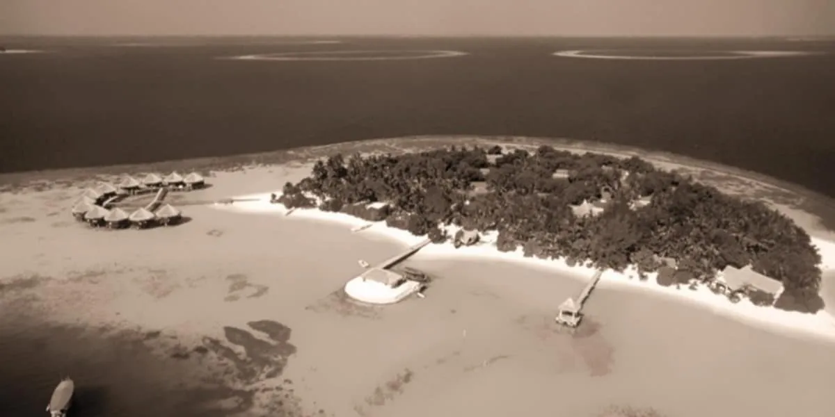 Archive sepia aerial photo of a small wooded island and jetties