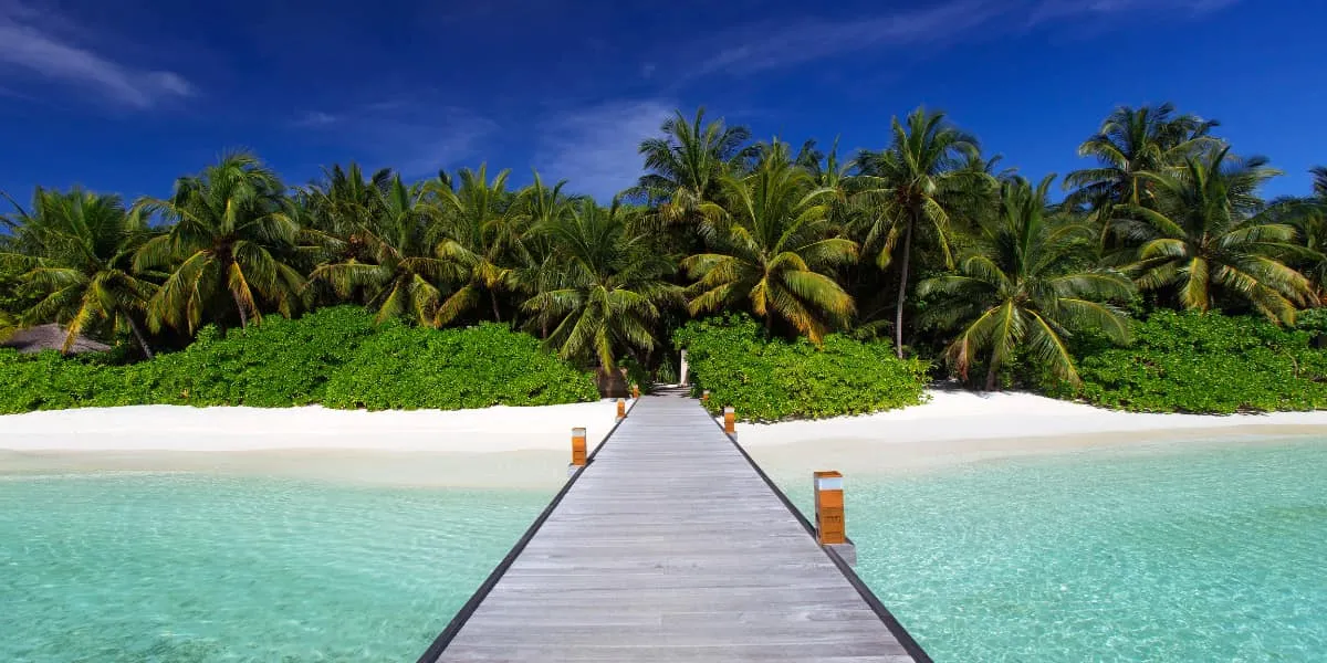 Wooden jetty leading to a palm-fringed white sand beach