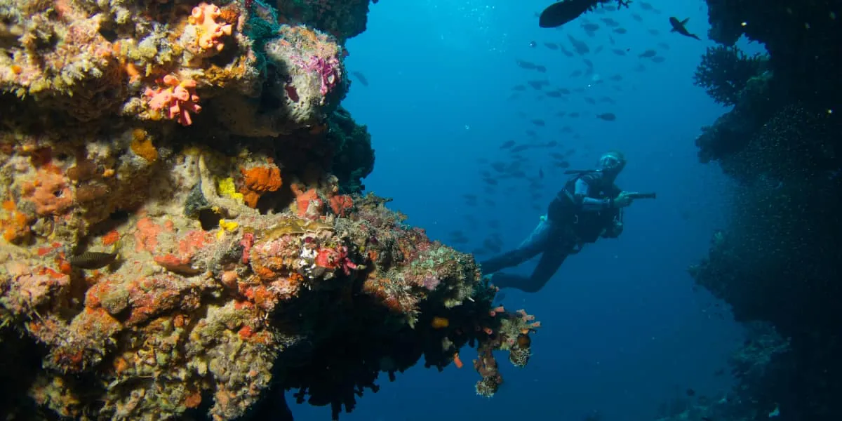 Diver exploring a coral-covered reef overhang