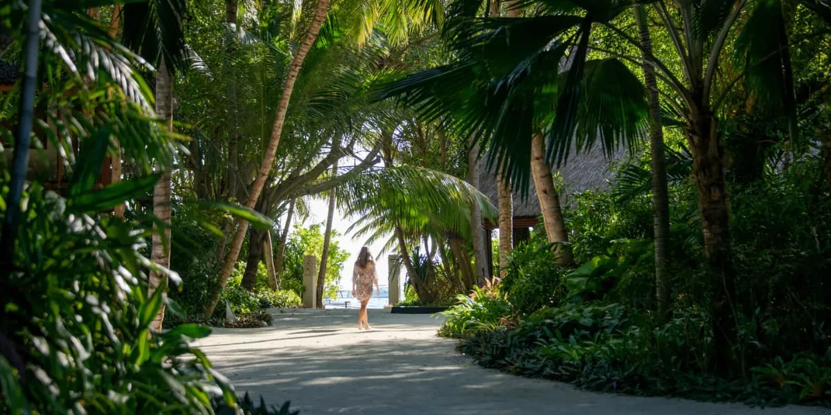 Woman walking along a sandy path under tall palms