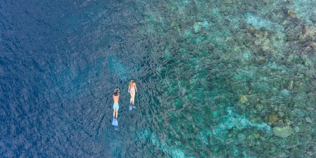 Aerial view of two snorkellers swimming over a shallow coral reef
