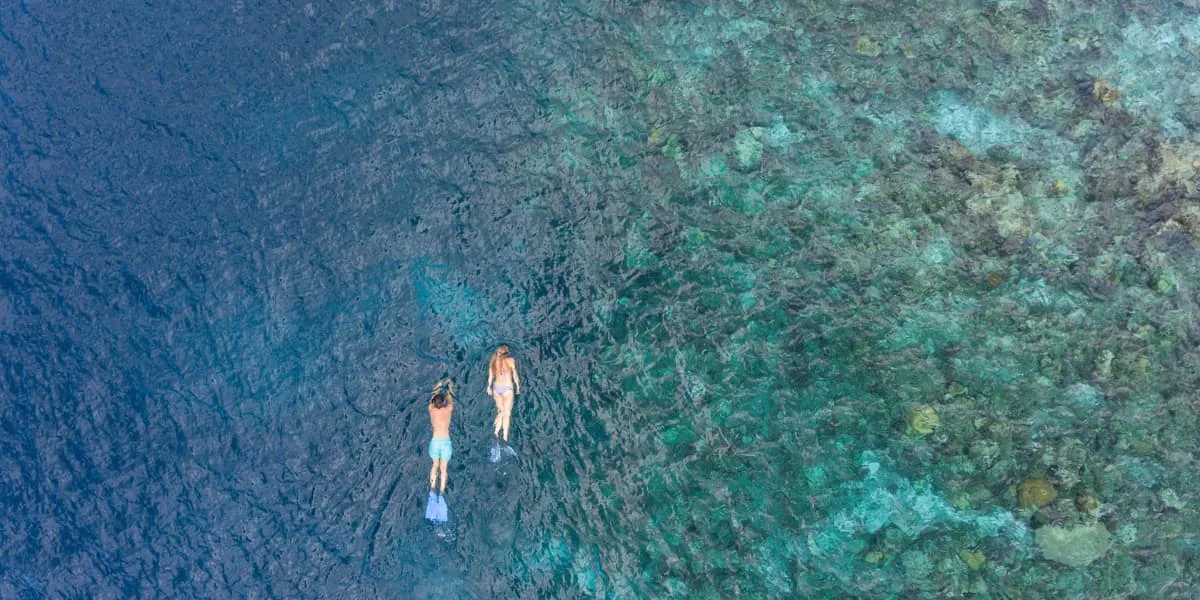 Aerial view of two snorkellers swimming above a coral reef