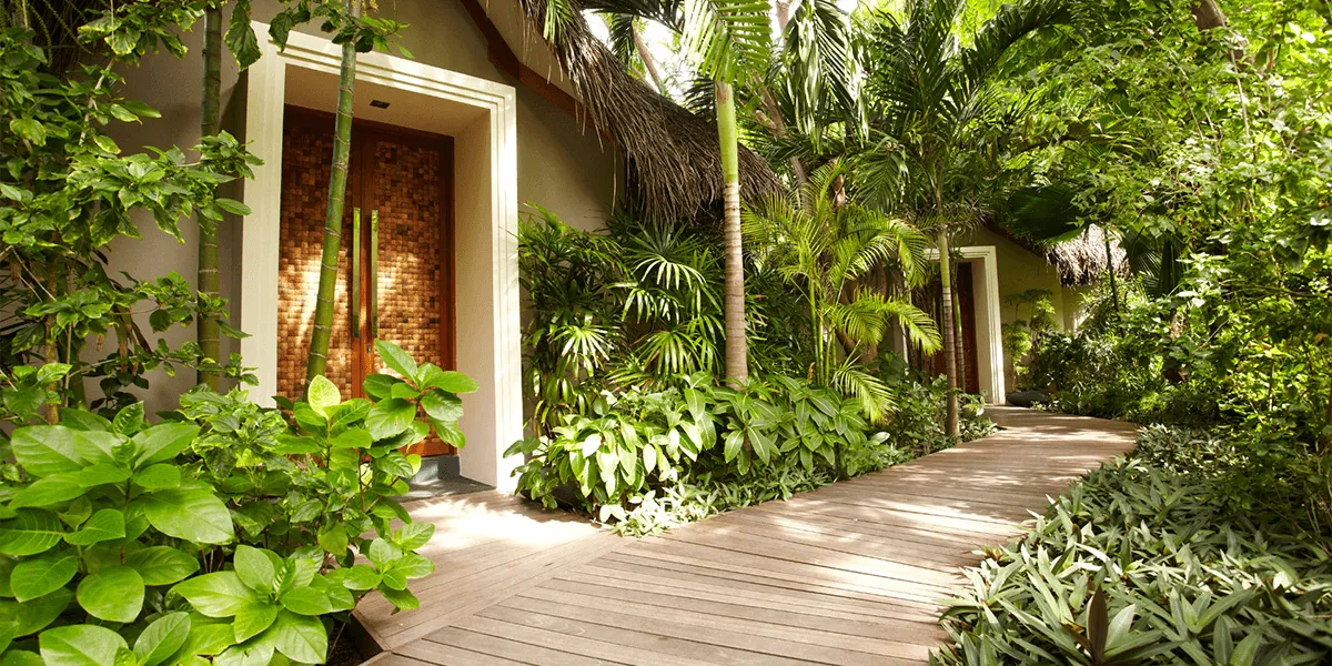 Wooden path through lush tropical plants leading to a spa entrance at Baros