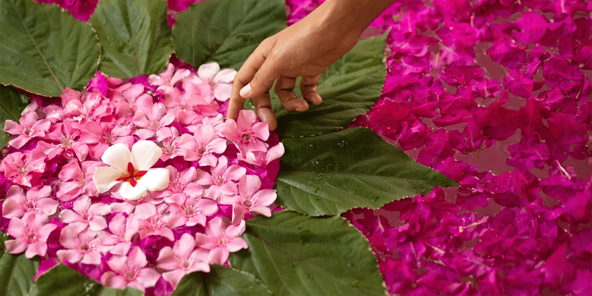 Hand arranging pink flowers and petals on a leaf