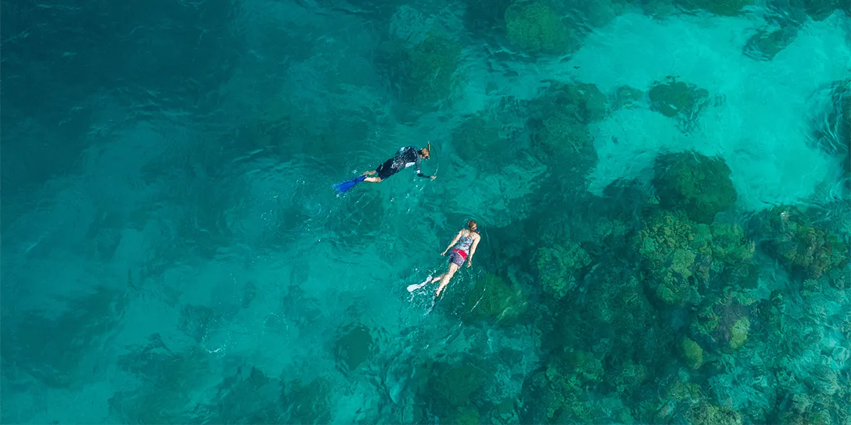 Aerial view of two snorkellers over a coral reef in turquoise water