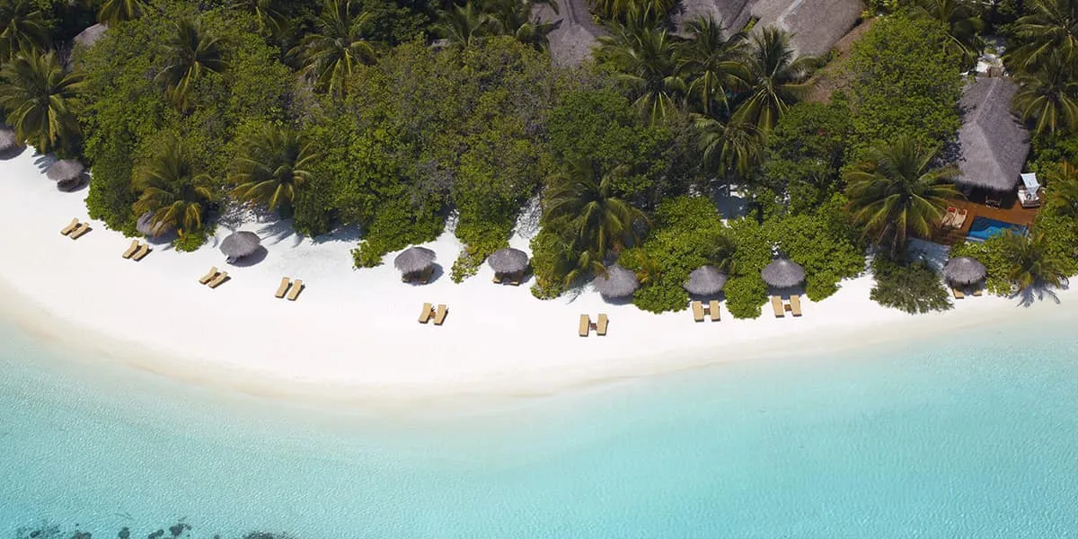 Aerial view of a white sand beach with sun loungers and umbrellas below palms
