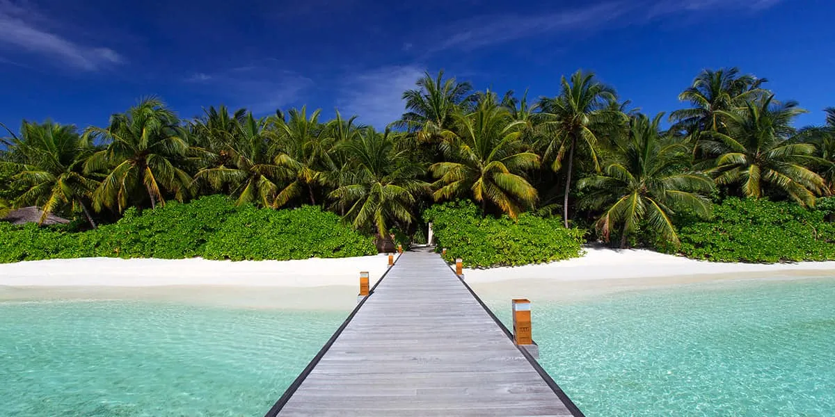 Wooden arrival jetty leading to a palm-fringed island at Baros