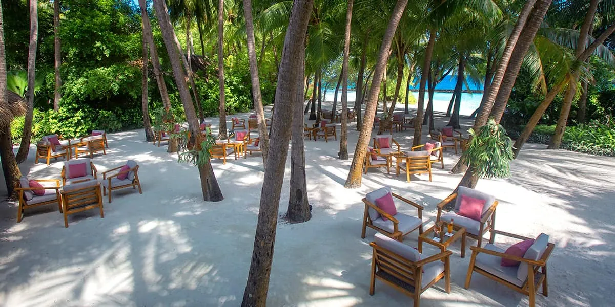 Outdoor restaurant seating on sand beneath a grove of palm trees