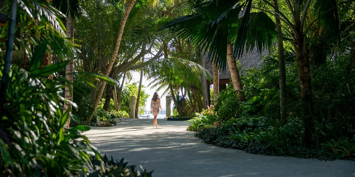 Woman walking along a sandy path through lush tropical palms and greenery