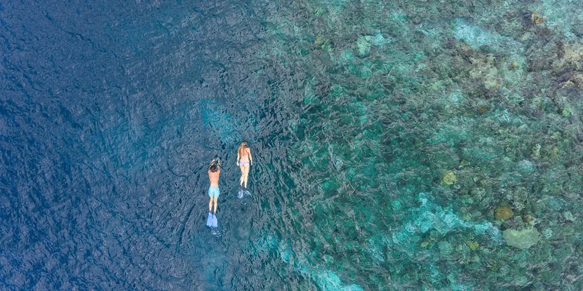 Aerial view of two snorkellers swimming over a coral reef