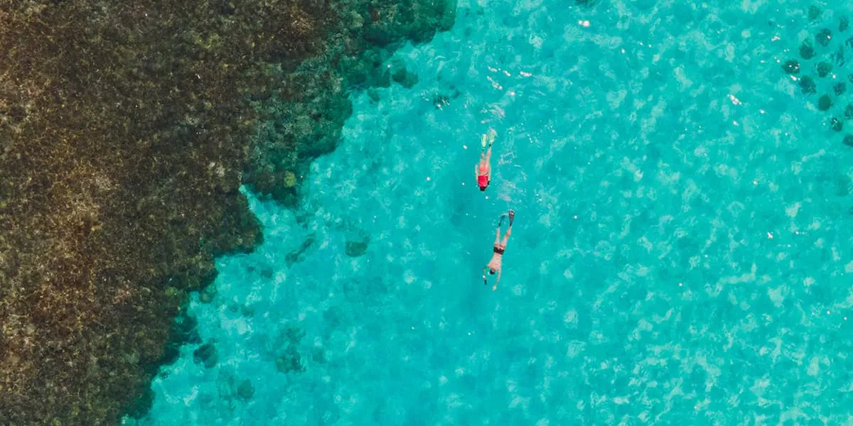 Aerial view of two snorkellers along the reef edge in turquoise water