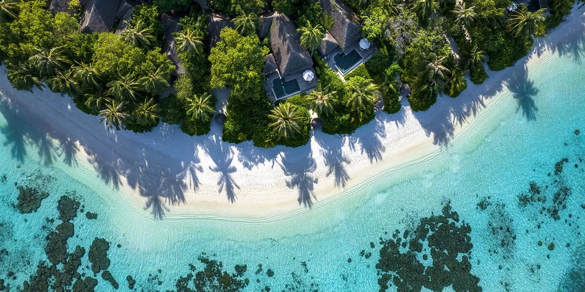 Aerial view of a palm-fringed beach with villas and turquoise water
