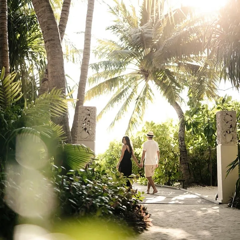 Couple walking along a sunlit sandy path through palms and greenery