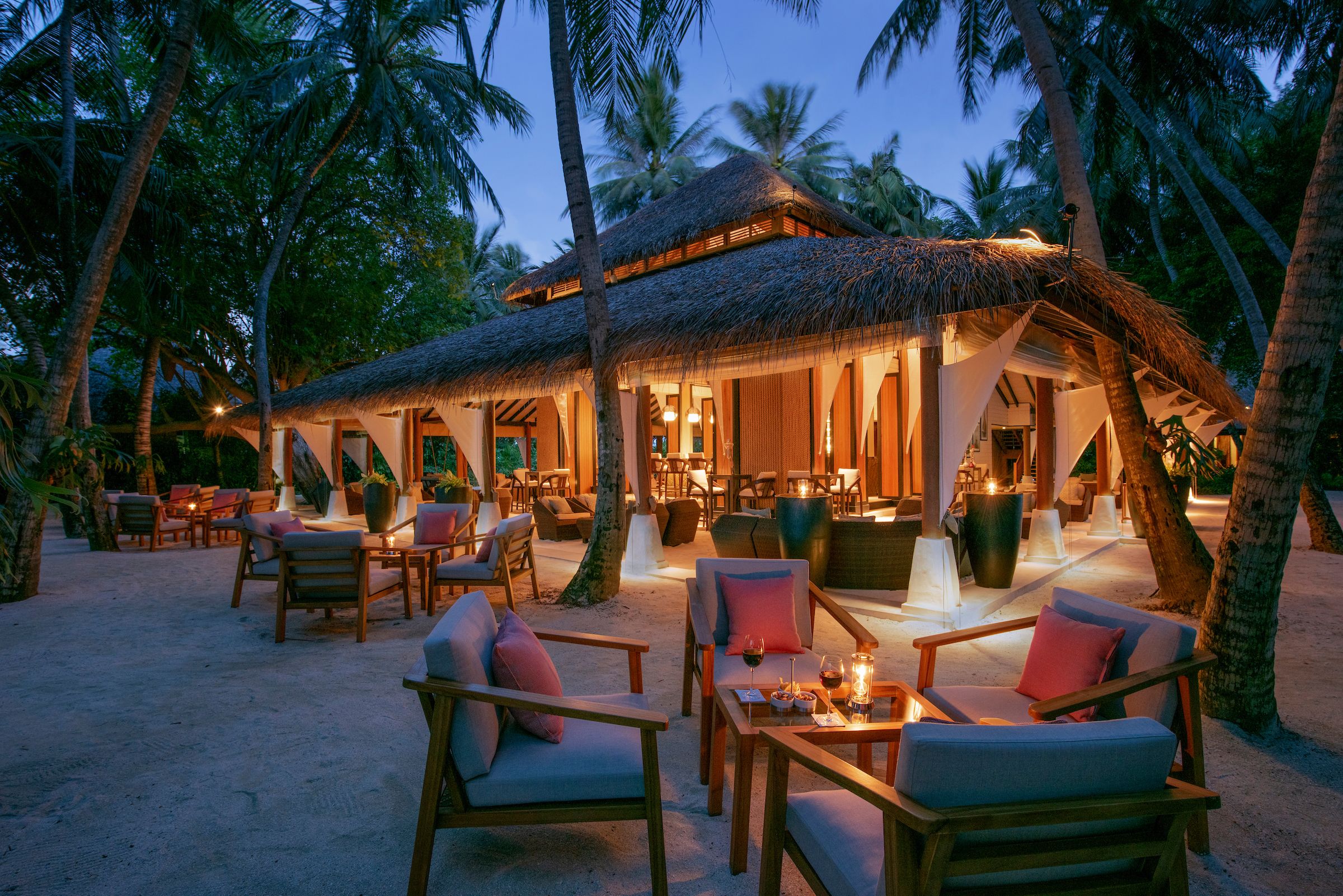 Palm garden at twilight