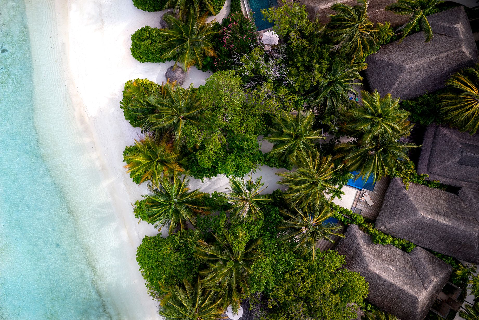 Baros pool villa drone photo