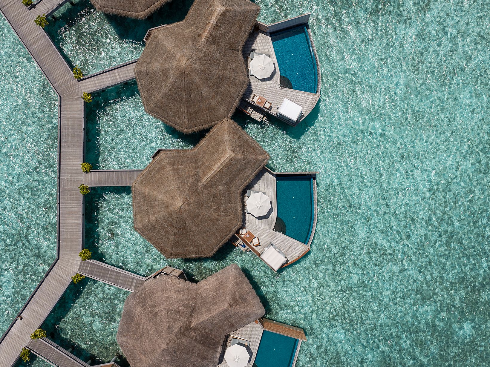 Top-down aerial view of three thatched Water Pool Villas with private pools