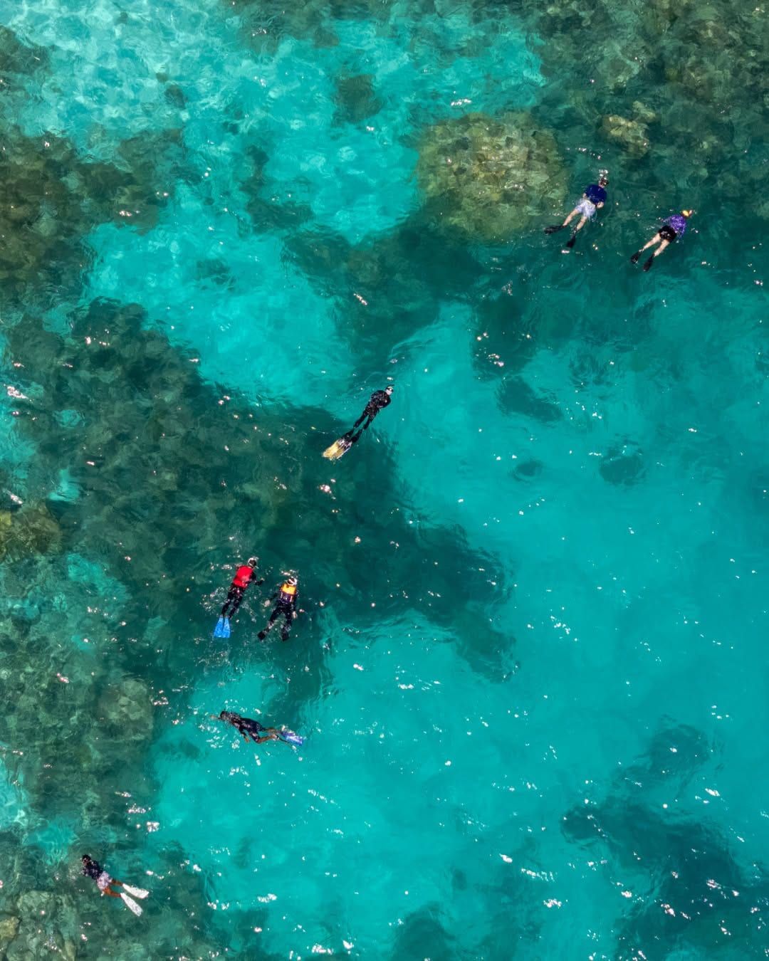 Snorkellers floating above coral in clear turquoise water, seen from above