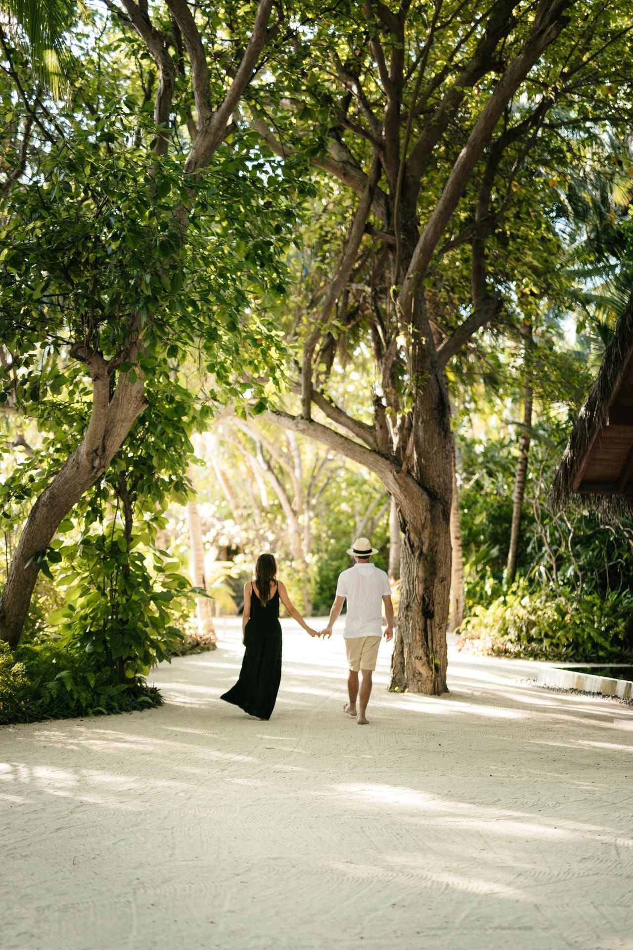 Couple walking hand in hand along a sandy path under large trees