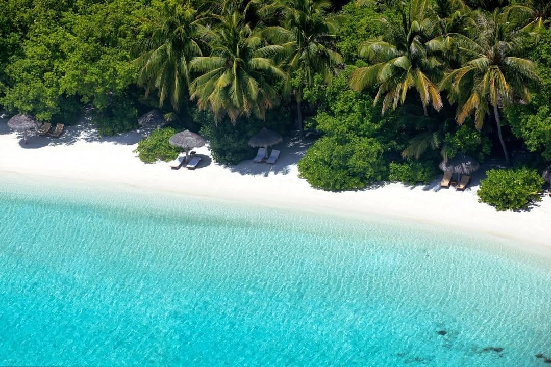 Aerial view of a white-sand beach edged by palm trees and clear turquoise water