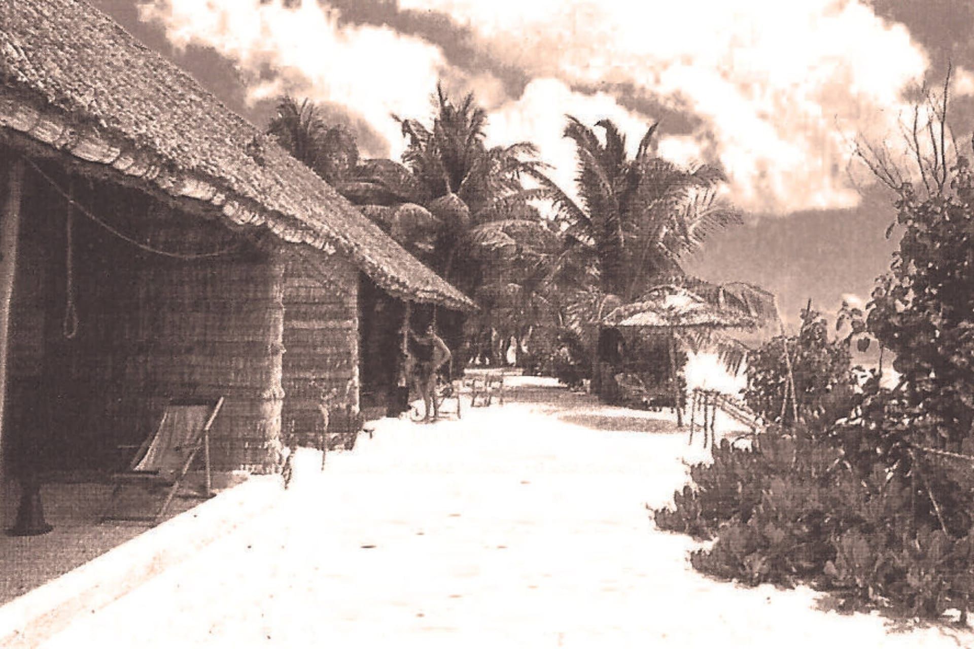Sepia archive photo of thatched huts along a sandy palm-lined path
