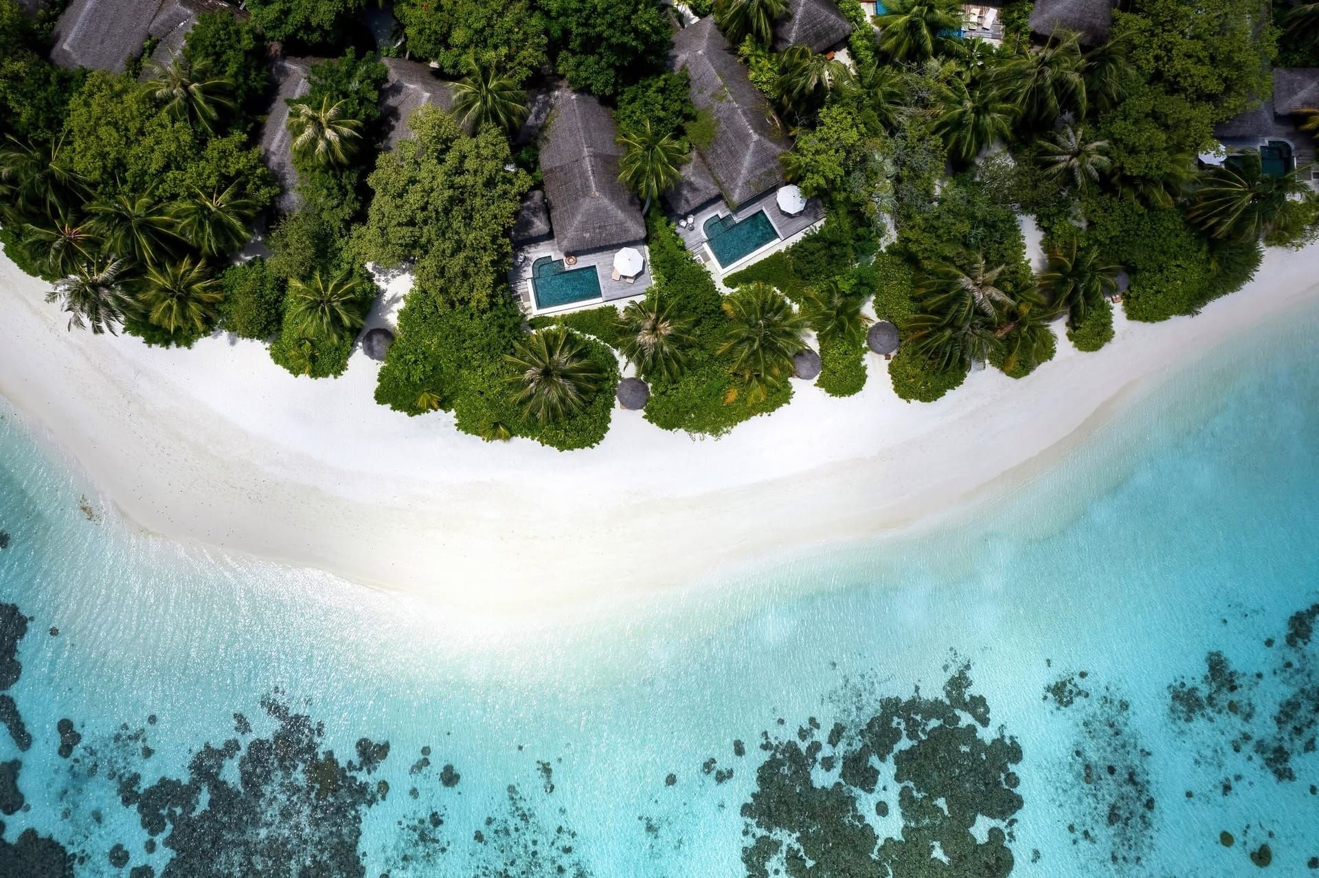 Aerial view of villa roofs among palms beside a white beach and reef