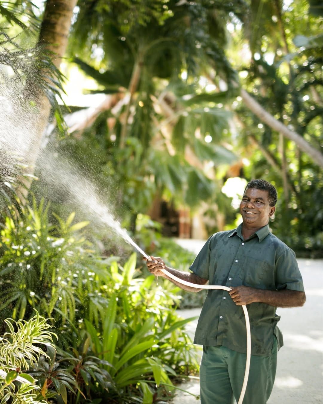 Gardener watering tropical plants with a hose