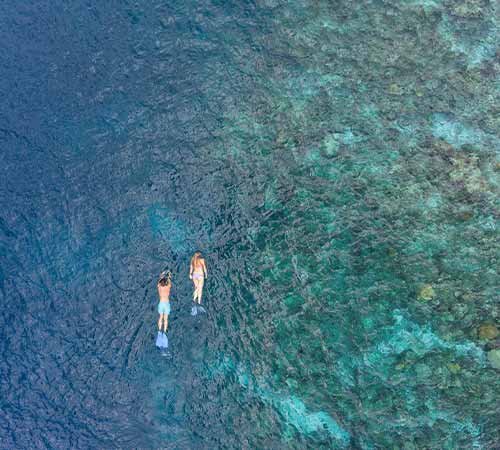 Reef Snorkelling at Baros Maldives 