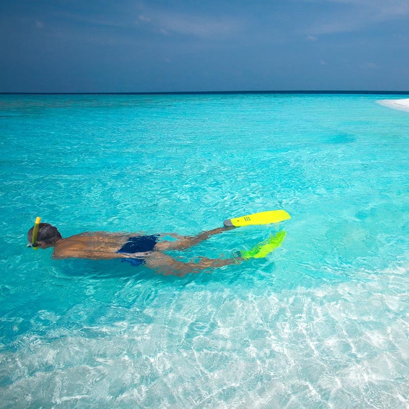 Snorkeling in Maldives