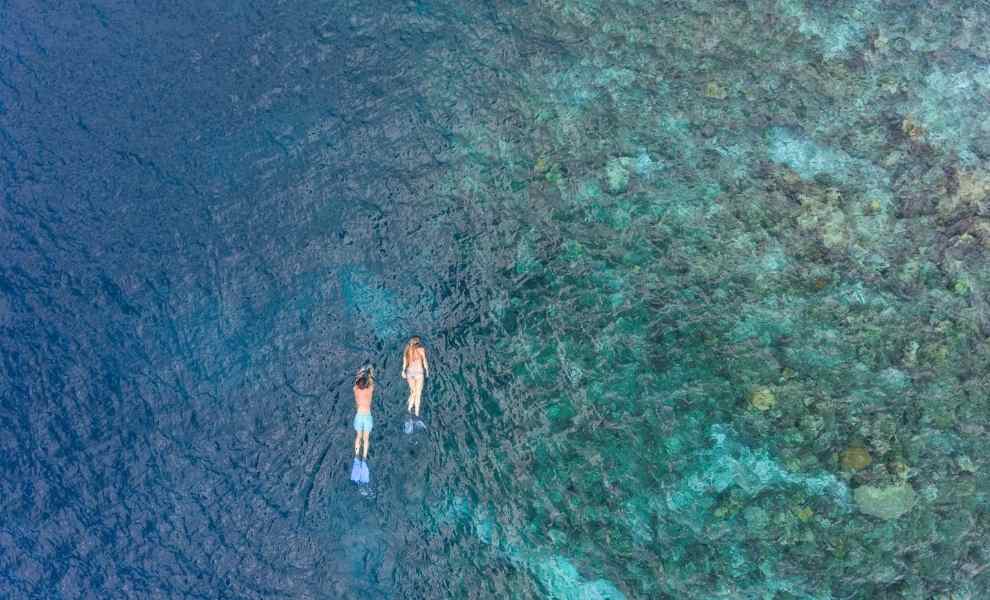 Exploring the Sea Life in Maldives