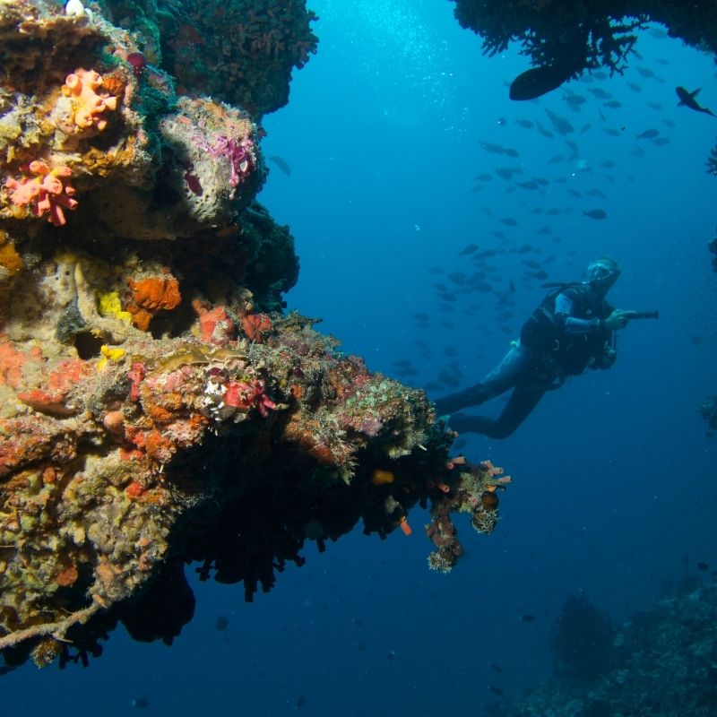 Man Diving in Maldives 