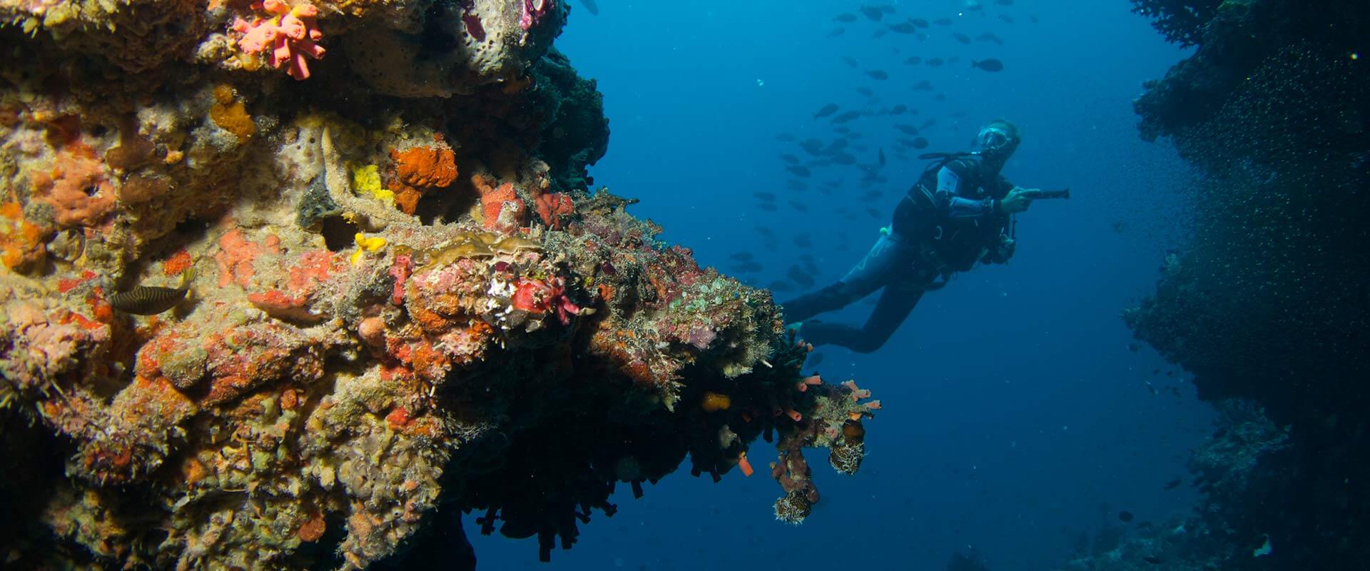 Underwater Discovery at Baros Maldives