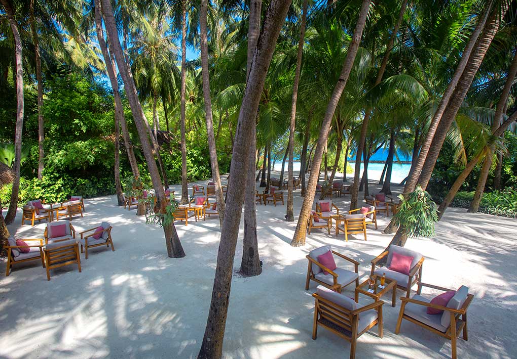 Gardens at Baros Luxury Resort in Maldives