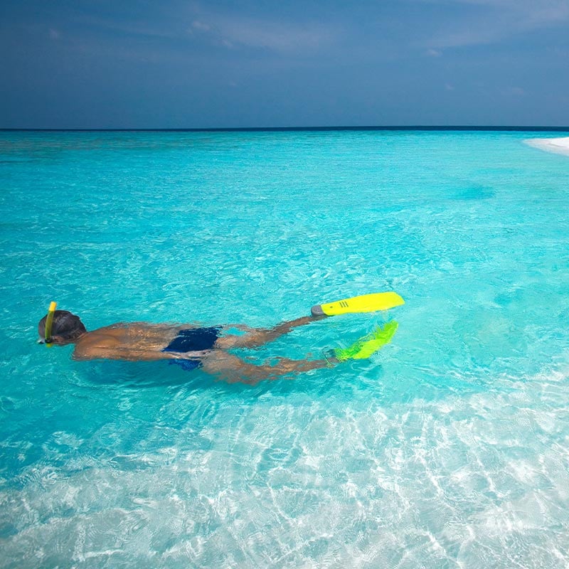 Snorkeling in Maldives