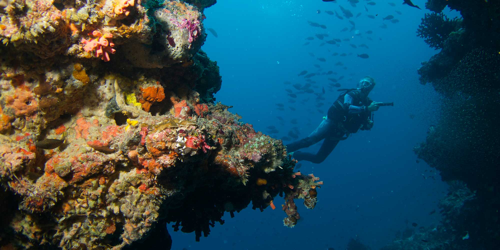 Discovering Underwater Kingdoms at Baros Maldives 