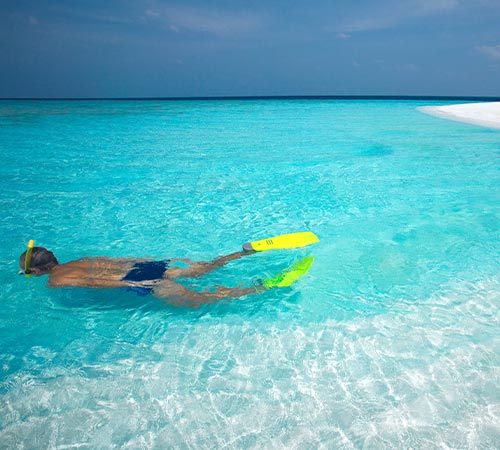 Man Snorkeling in Blue Waters in Maldives 