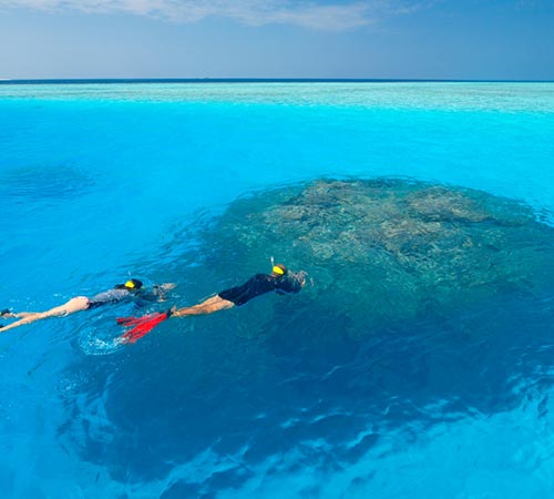 Couple Snorkelling in Maldives 