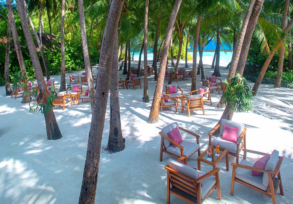 Palm Gardens at Baros Maldives